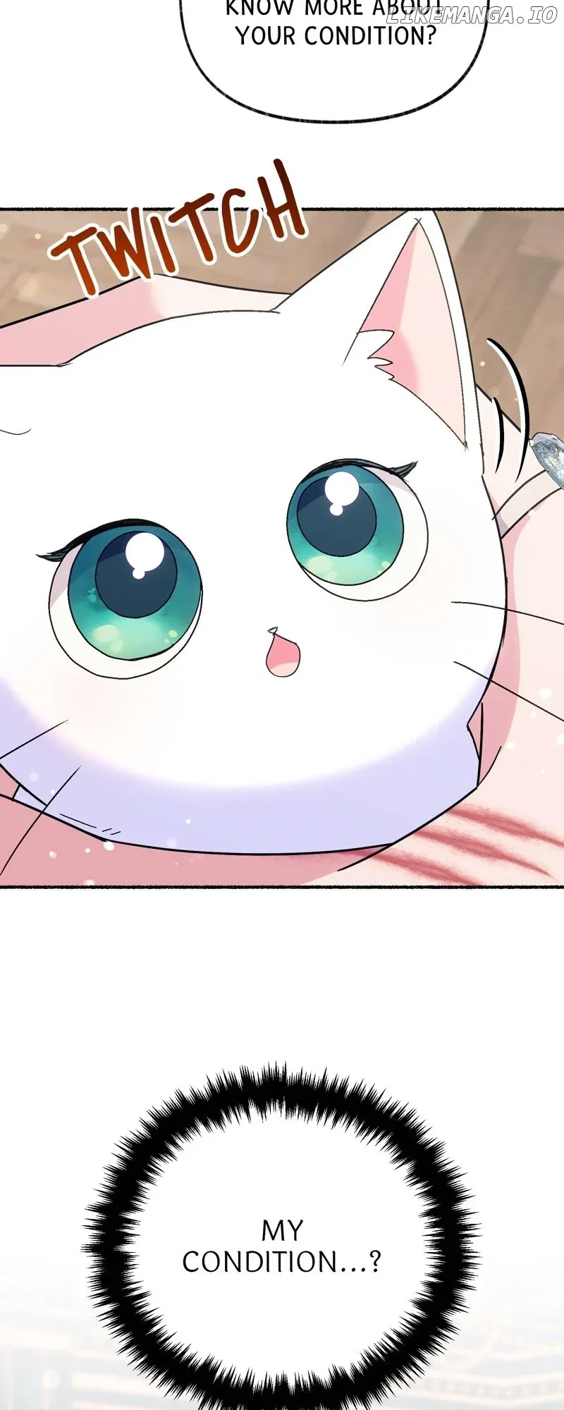 The Possesive Tyrant and His Sleepy Cat Chapter 12 Online - página 15