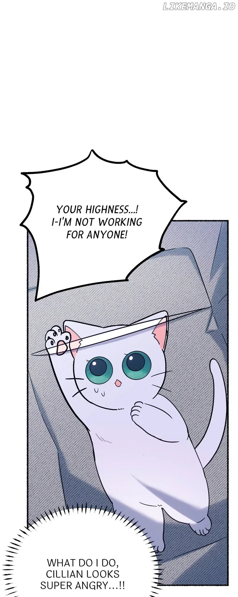 The Possesive Tyrant and His Sleepy Cat Chapter 12 Online - página 46