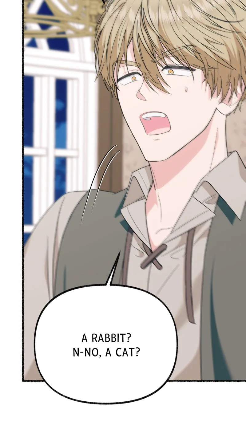 The Possesive Tyrant and His Sleepy Cat Chapter 16 Online - página 71