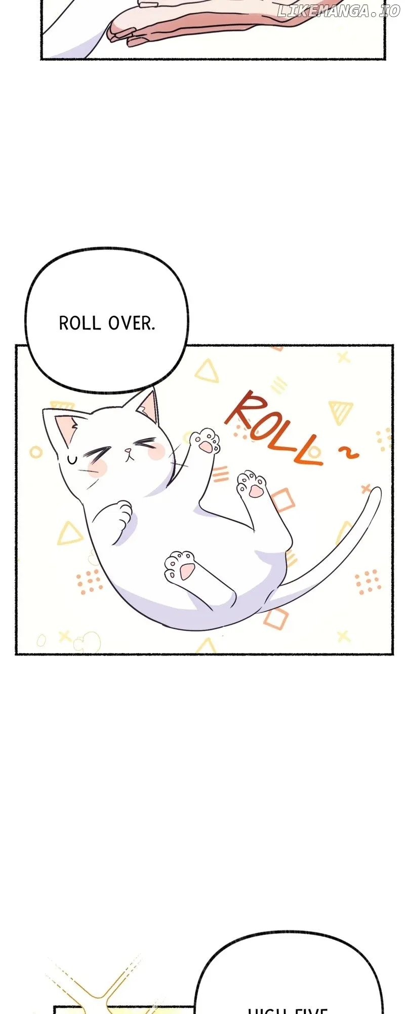 The Possesive Tyrant and His Sleepy Cat Chapter 2 Online - página 3