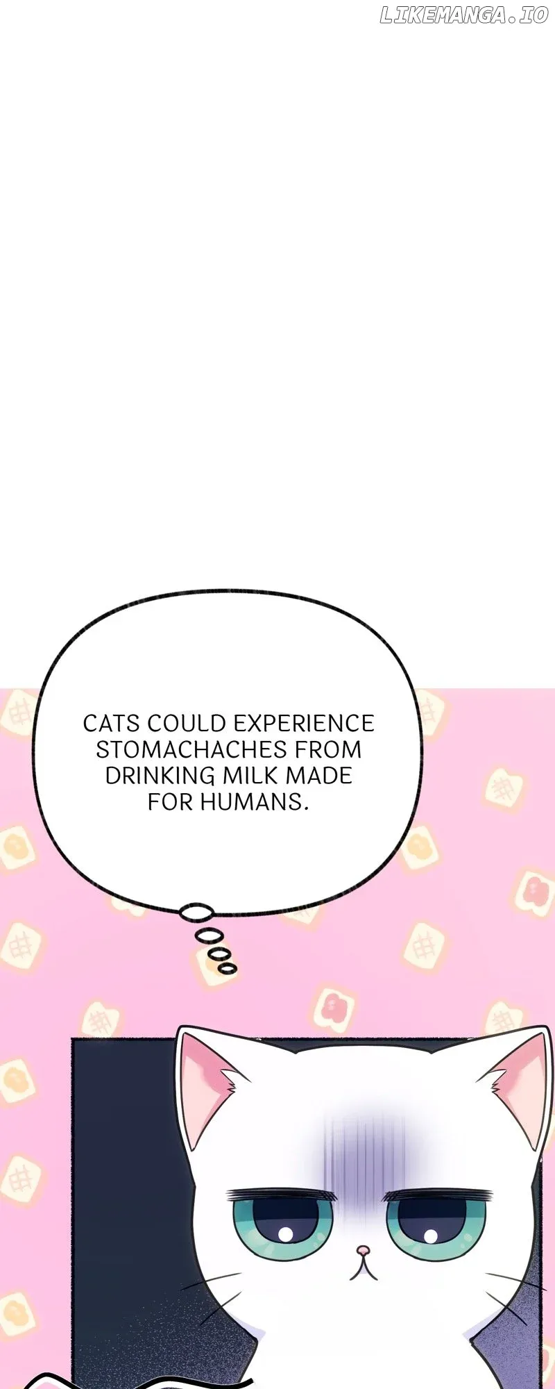 The Possesive Tyrant and His Sleepy Cat Chapter 2 Online - página 23