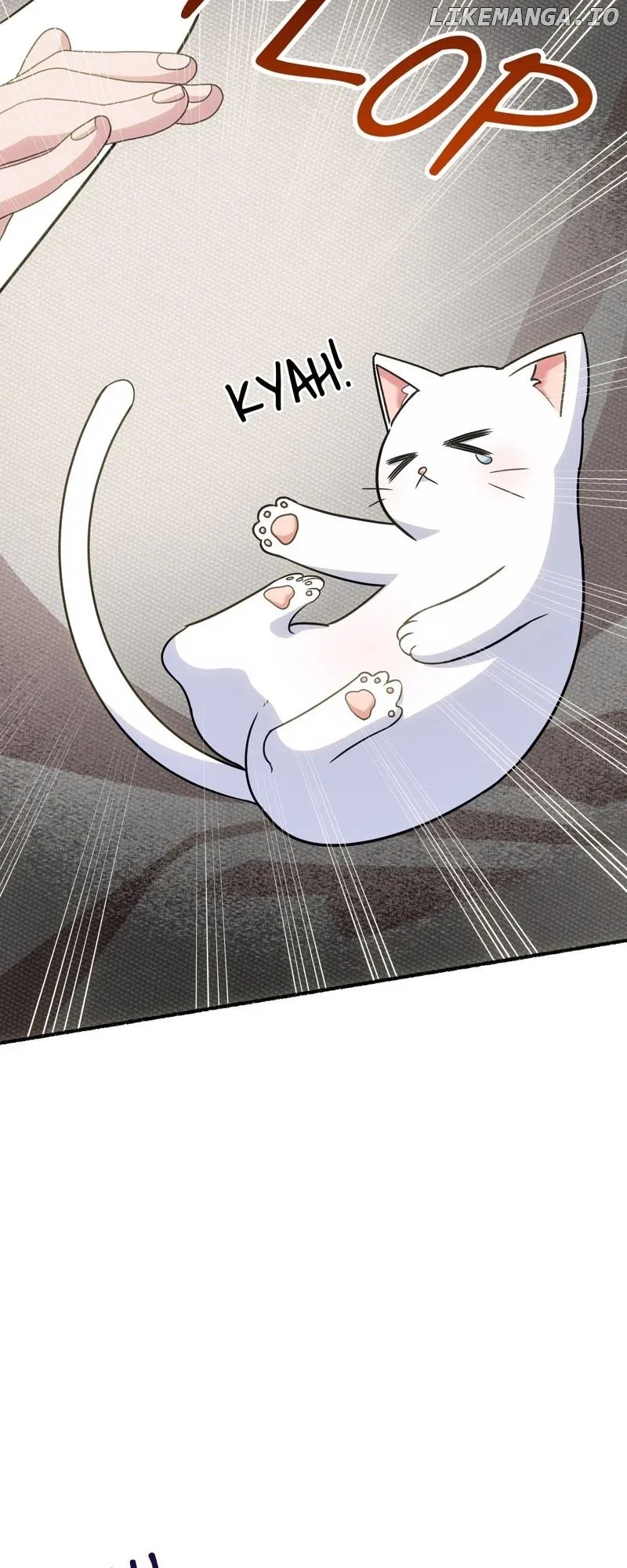 The Possesive Tyrant and His Sleepy Cat Chapter 2 Online - página 35