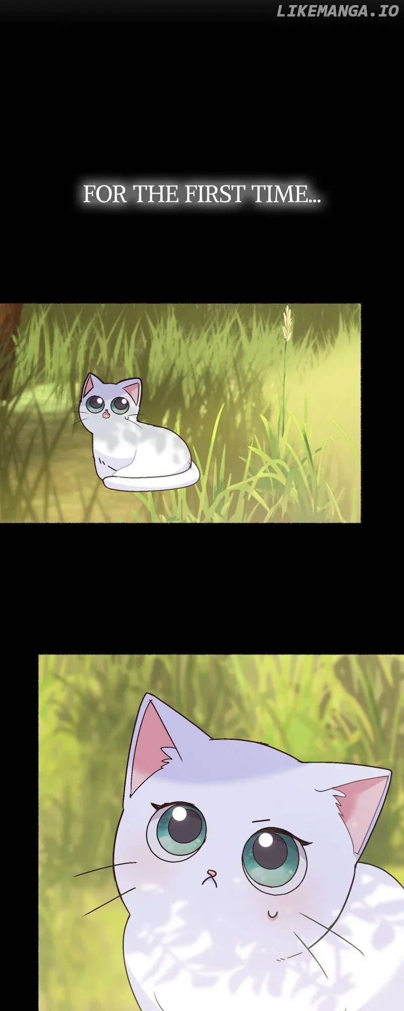 The Possesive Tyrant and His Sleepy Cat Chapter 4 Online - página 9