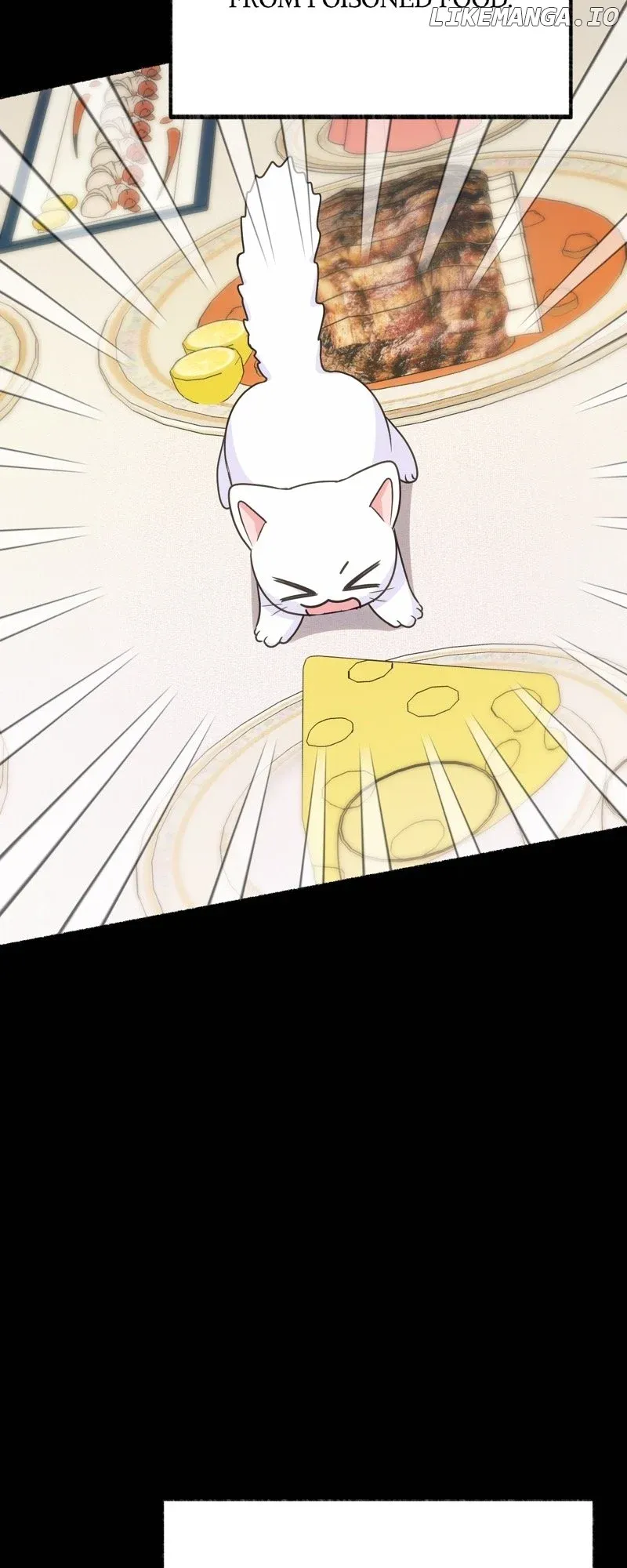 The Possesive Tyrant and His Sleepy Cat Chapter 4 Online - página 19