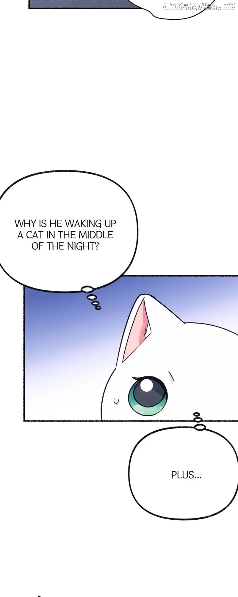 The Possesive Tyrant and His Sleepy Cat Chapter 4 Online - página 38