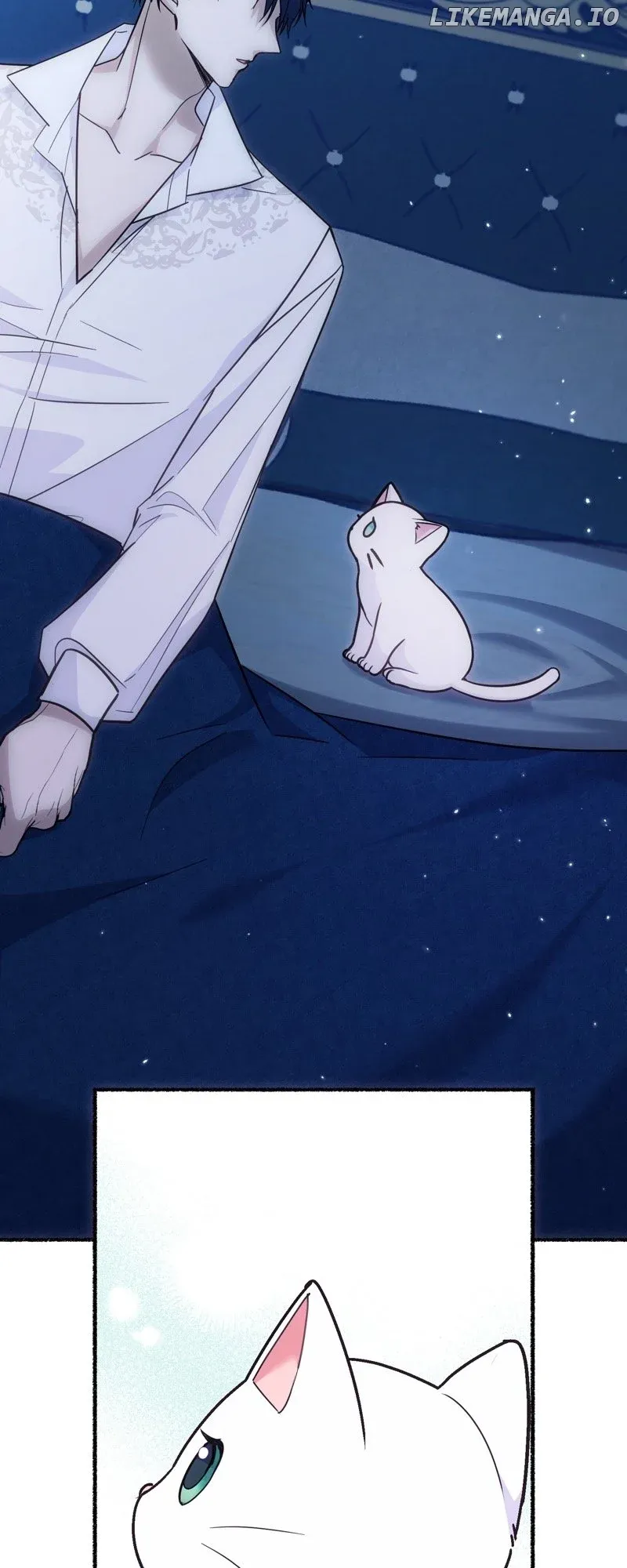 The Possesive Tyrant and His Sleepy Cat Chapter 4 Online - página 43