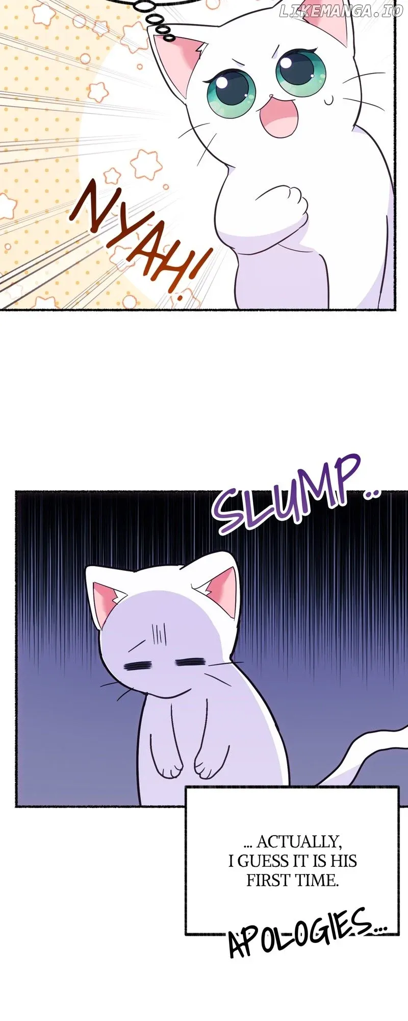 The Possesive Tyrant and His Sleepy Cat Chapter 4 Online - página 49