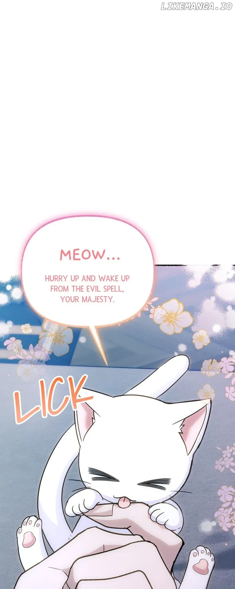 The Possesive Tyrant and His Sleepy Cat Chapter 4 Online - página 62