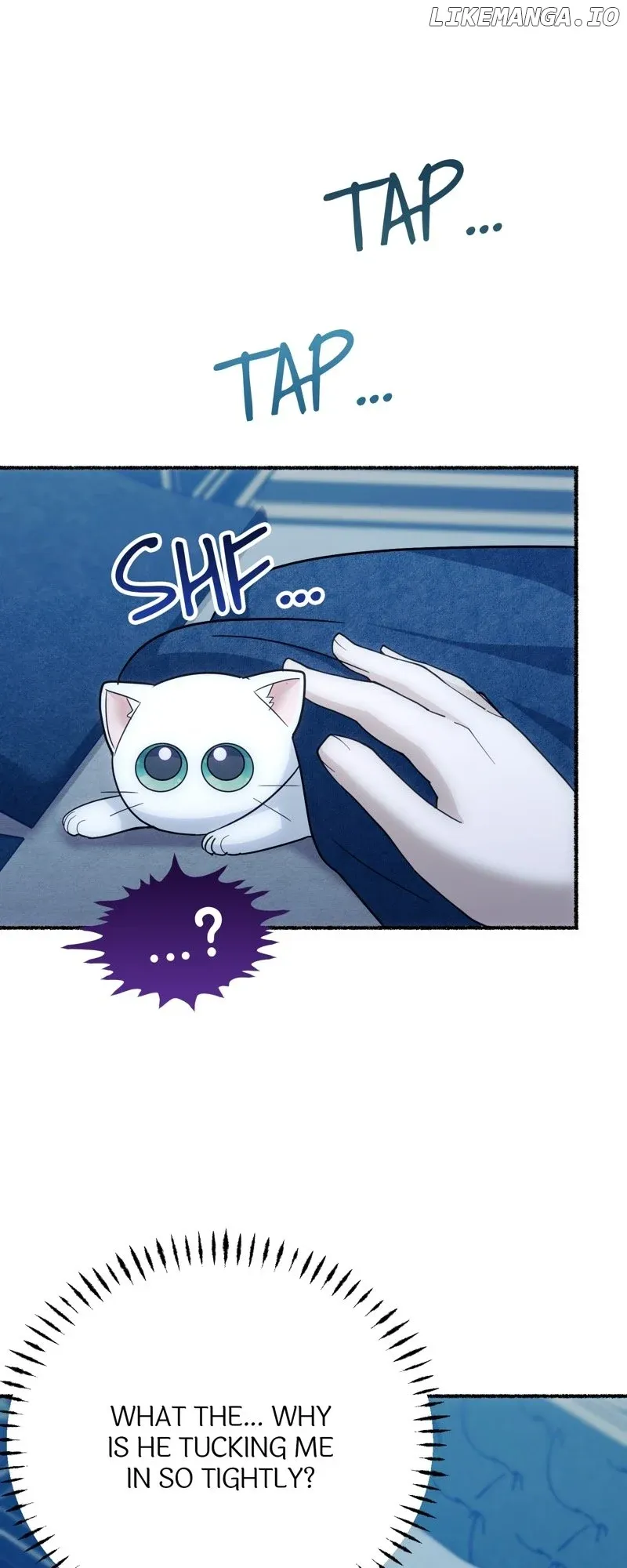 The Possesive Tyrant and His Sleepy Cat Chapter 4 Online - página 67