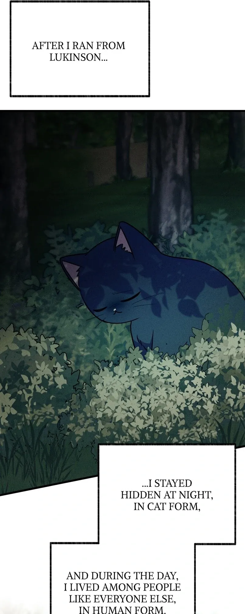 The Possesive Tyrant and His Sleepy Cat Chapter 64 Online - página 13
