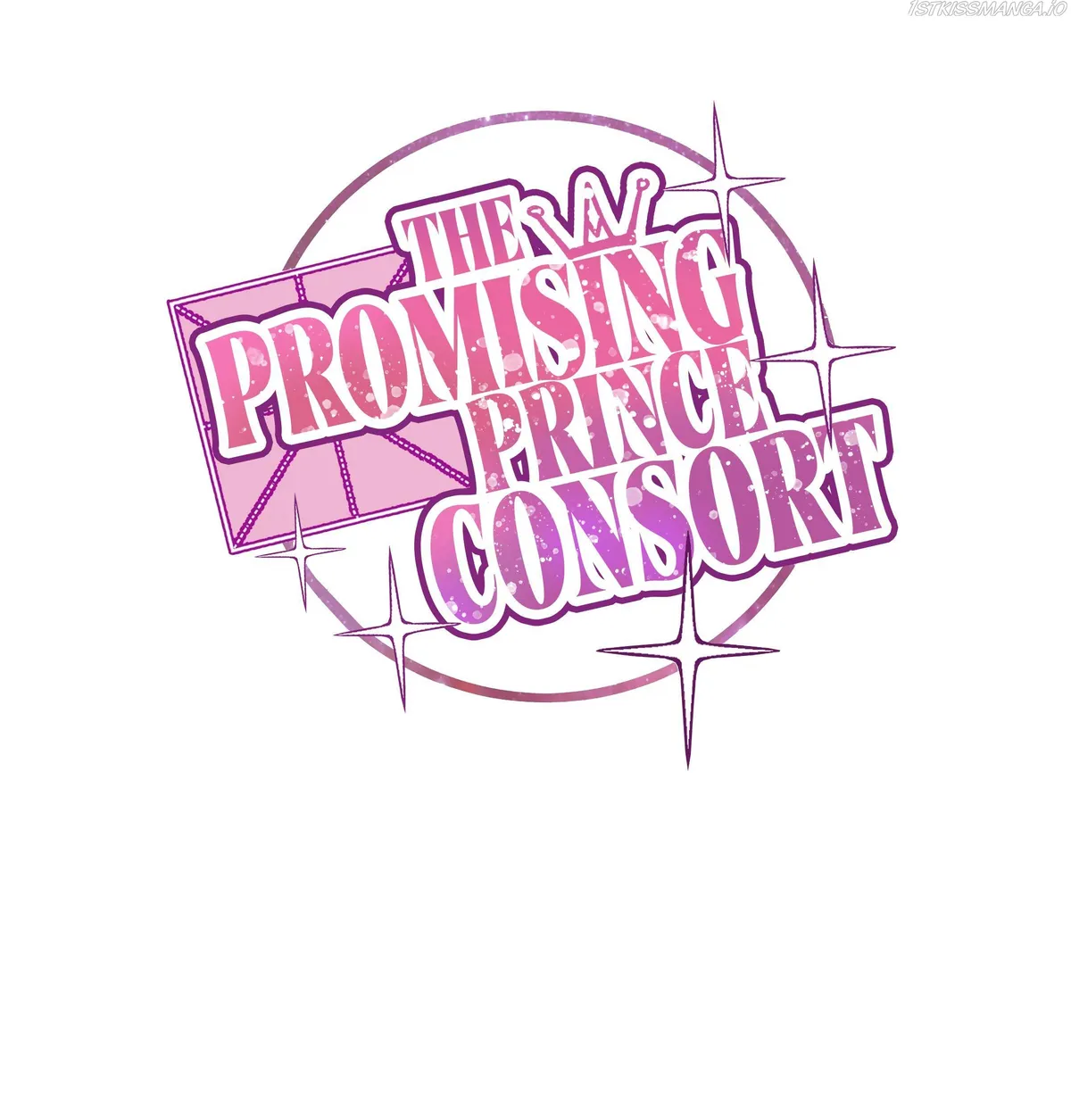 The Prince Consort Is Passing Chapter 17 Online - página 1