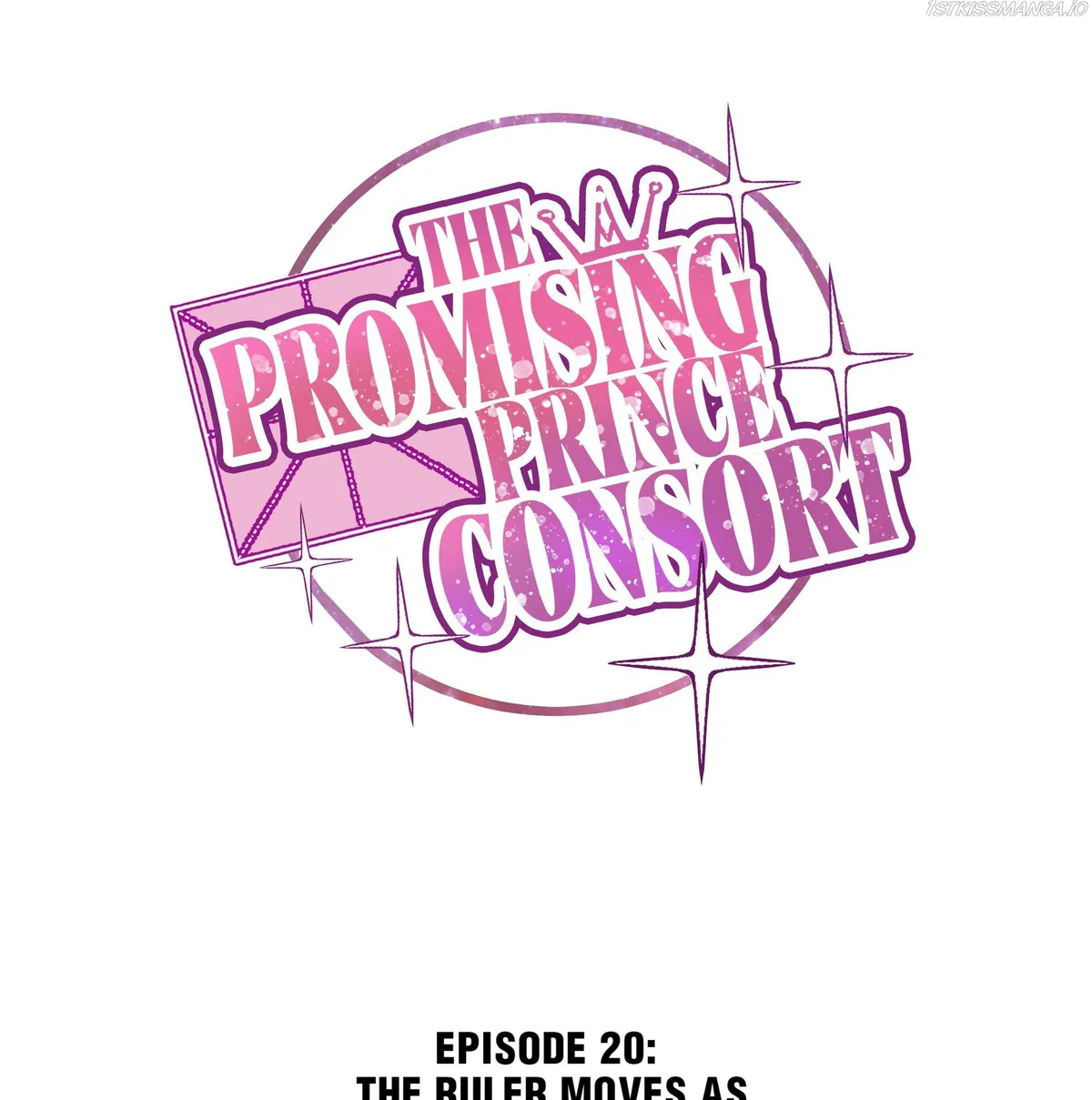 The Prince Consort Is Passing Chapter 20 Online - página 1