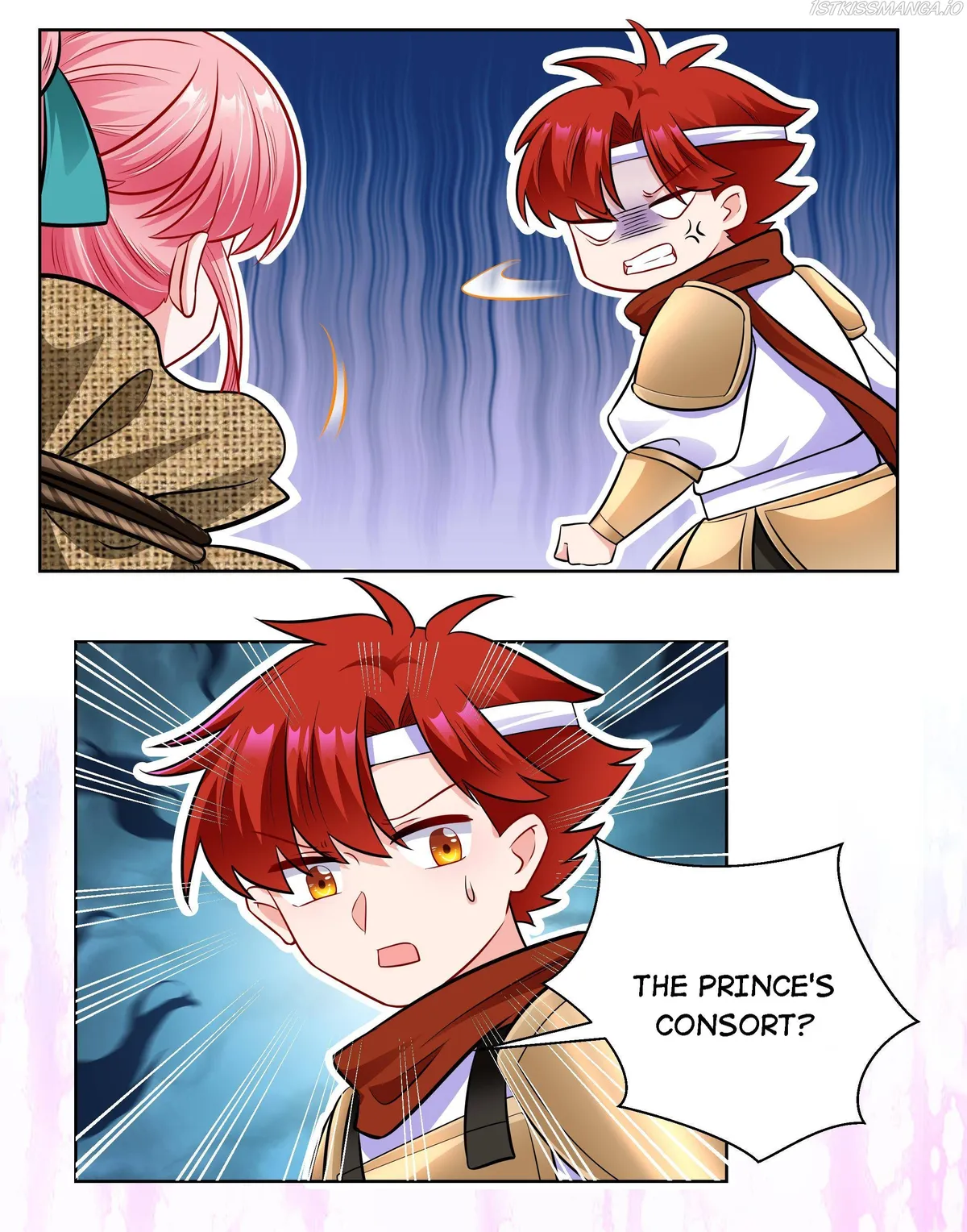 The Prince Consort Is Passing Chapter 25 Online - página 9