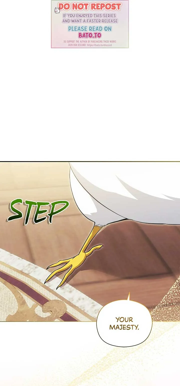 The Princess in The Henhouse Chapter 11 Online - página 1