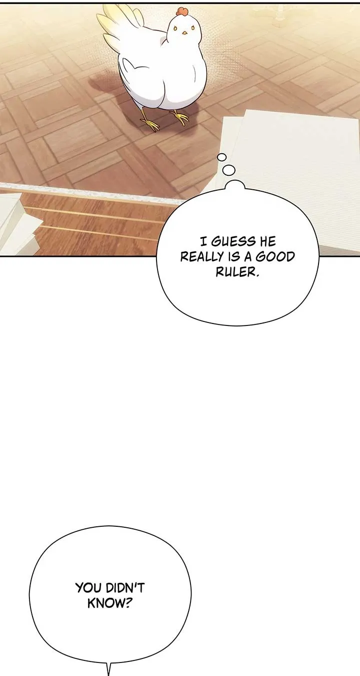 The Princess in The Henhouse Chapter 11 Online - página 16