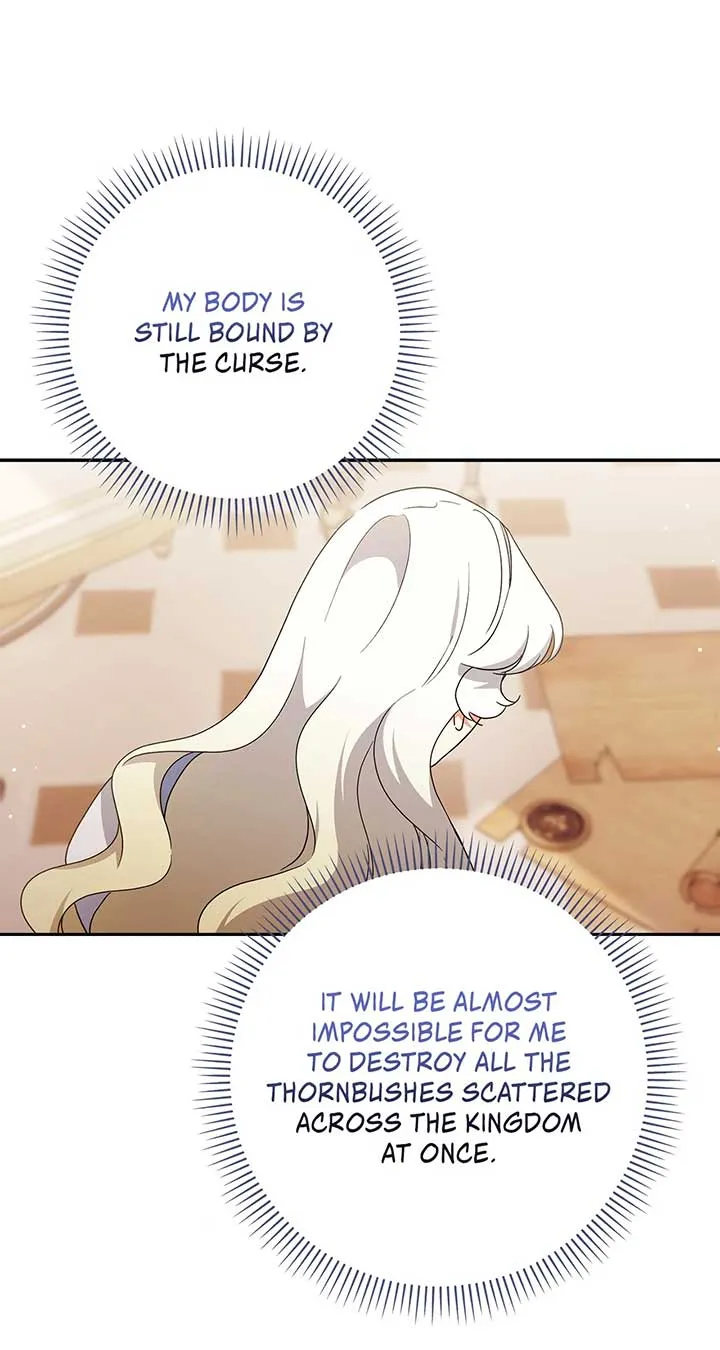 The Princess in The Henhouse Chapter 28 Online - página 25