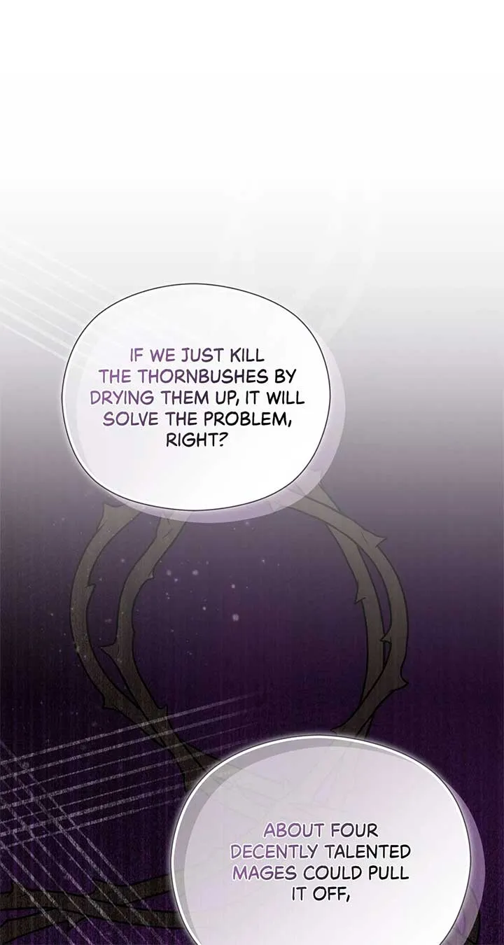 The Princess in The Henhouse Chapter 38 Online - página 78