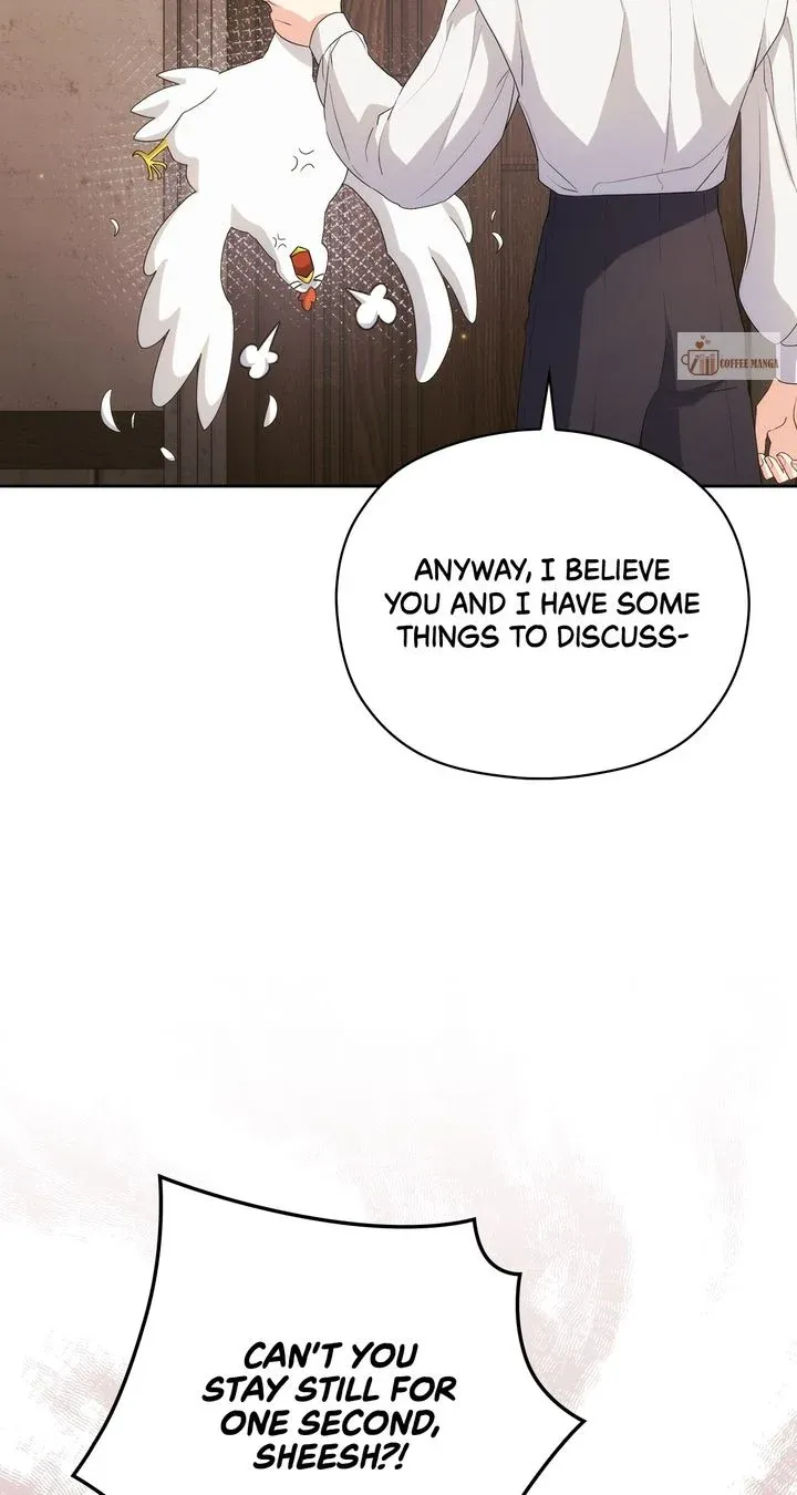 The Princess in The Henhouse Chapter 4 Online - página 42