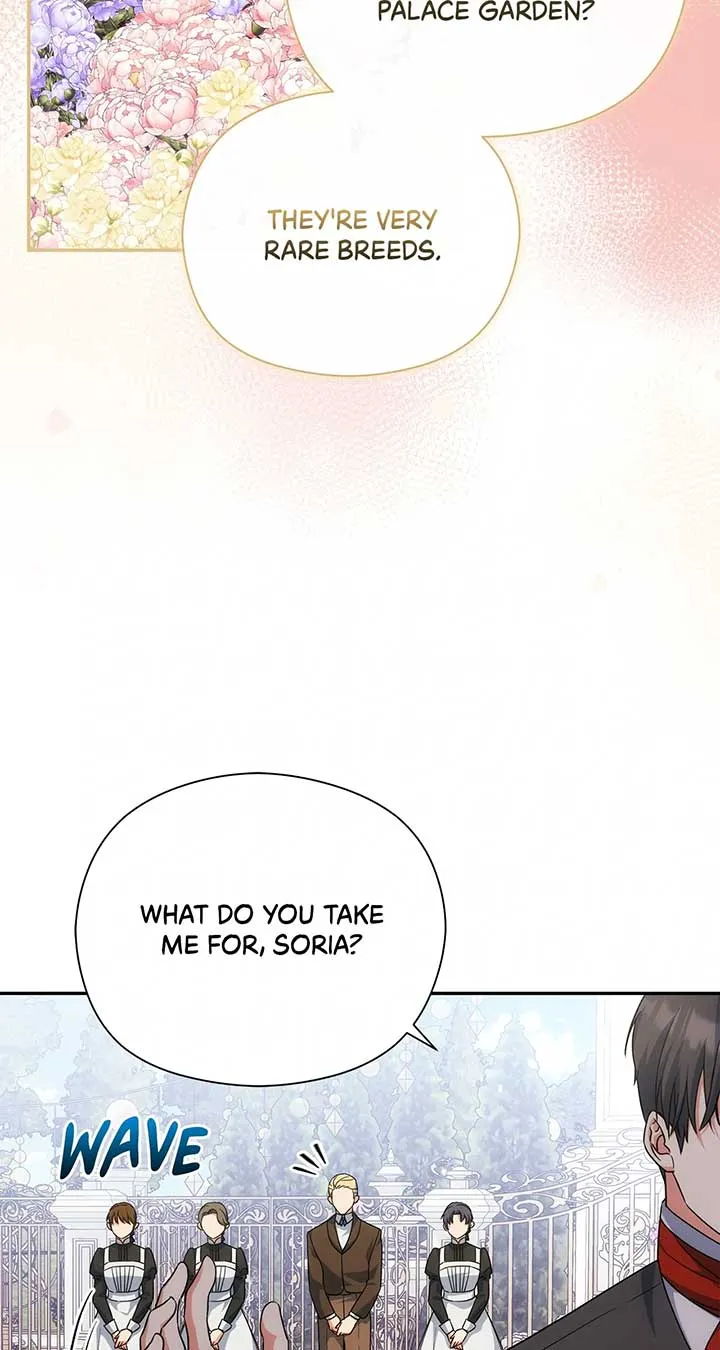The Princess in The Henhouse Chapter 44 Online - página 47