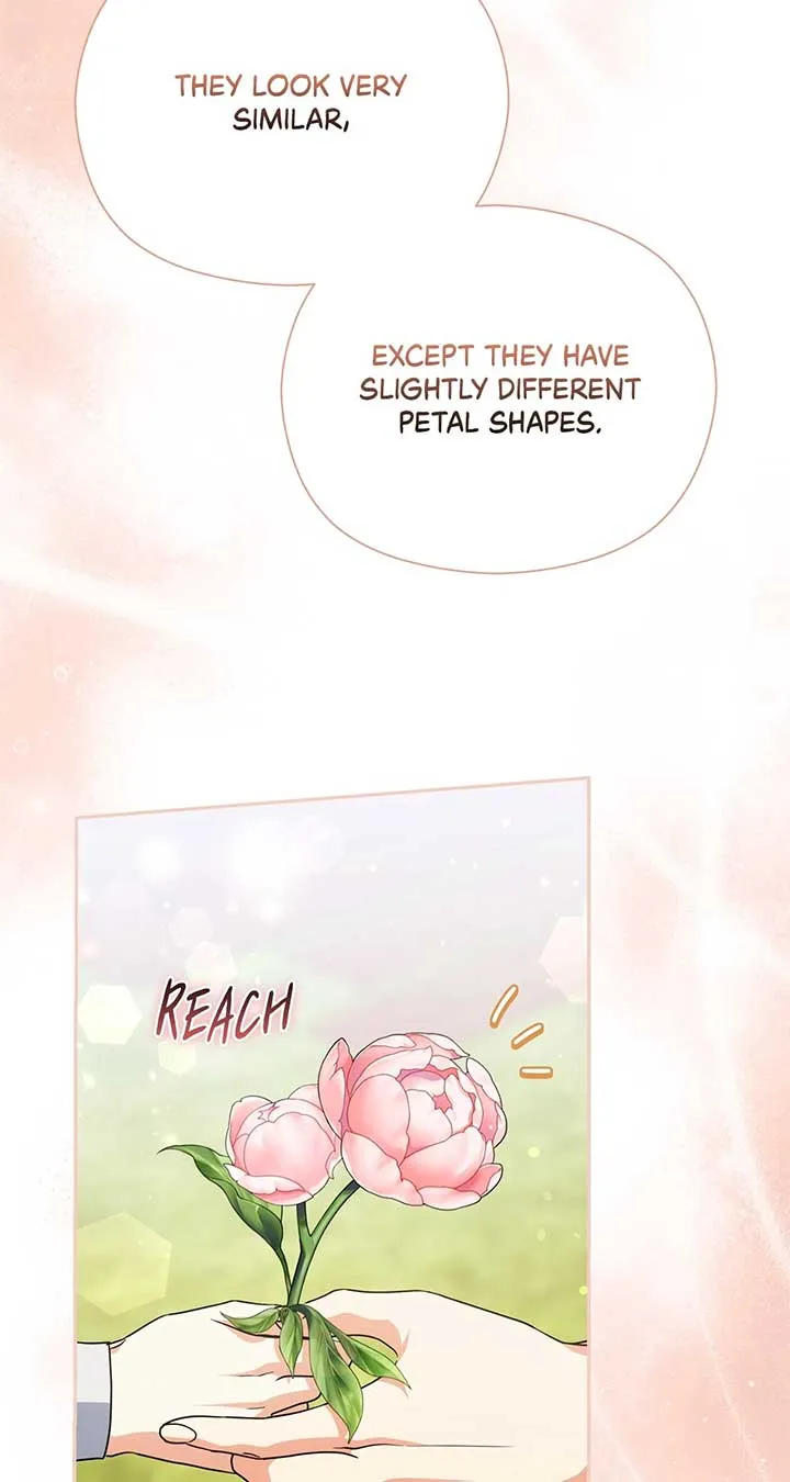 The Princess in The Henhouse Chapter 44 Online - página 59