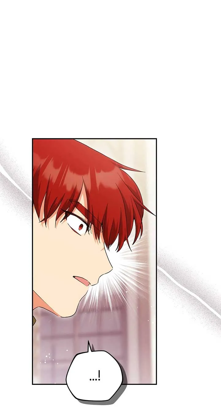 The Princess in The Henhouse Chapter 48 Online - página 20