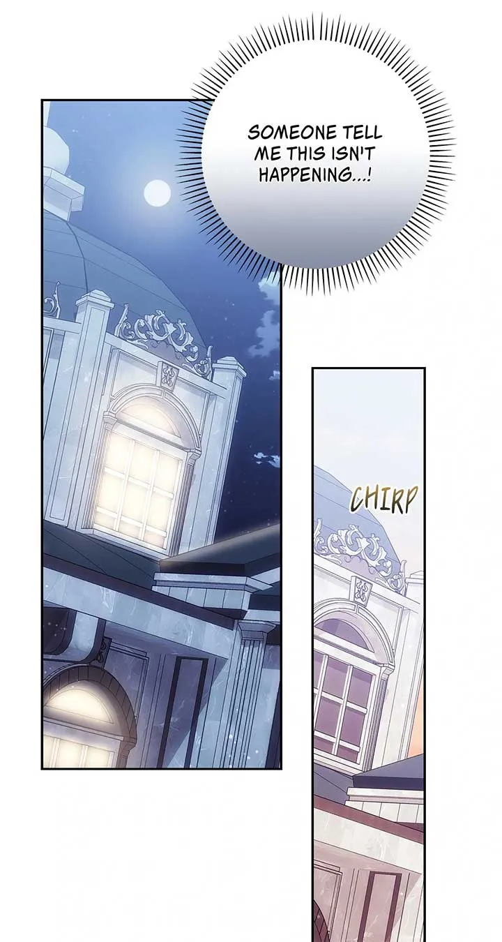 The Princess in The Henhouse Chapter 48 Online - página 46