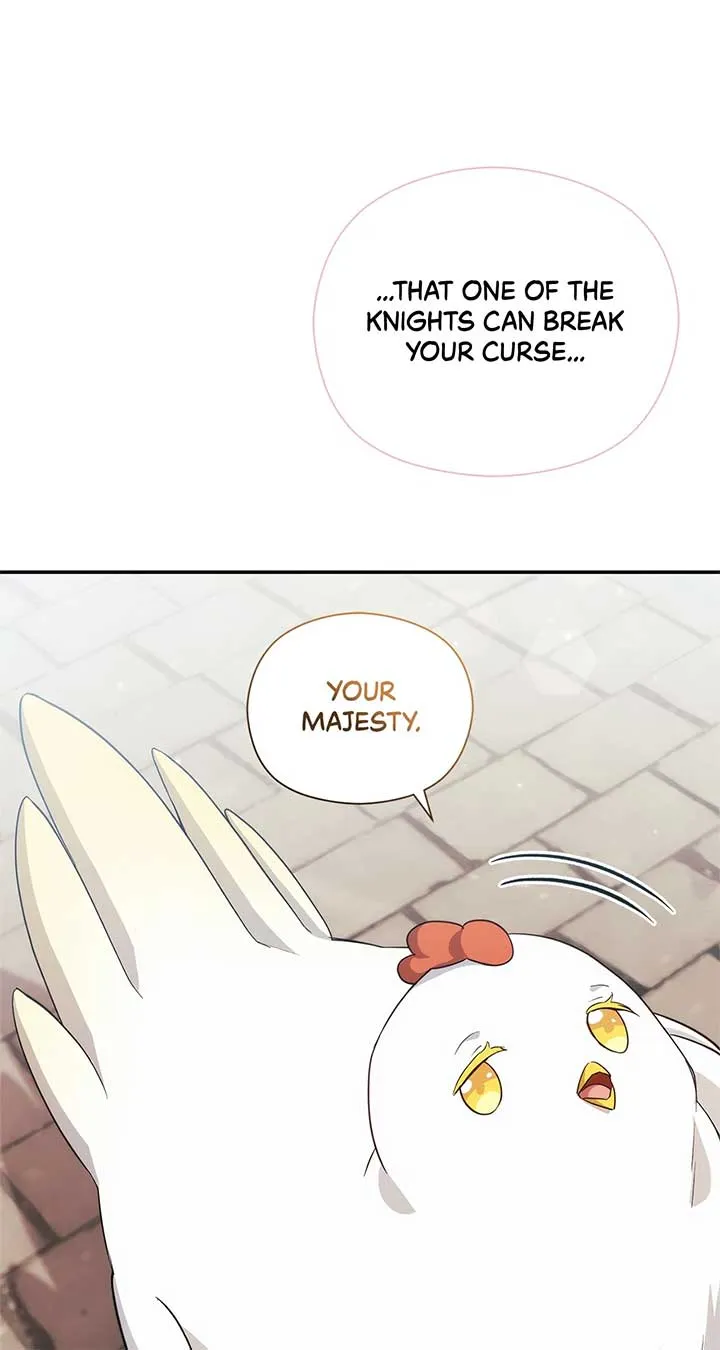 The Princess in The Henhouse Chapter 9 Online - página 40