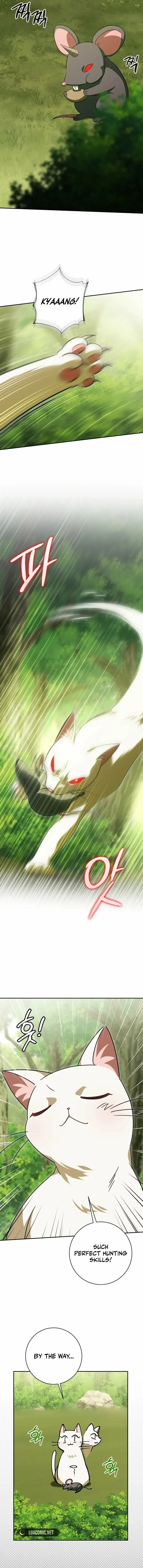 The princess is evil Chapter 142 Online - página 11