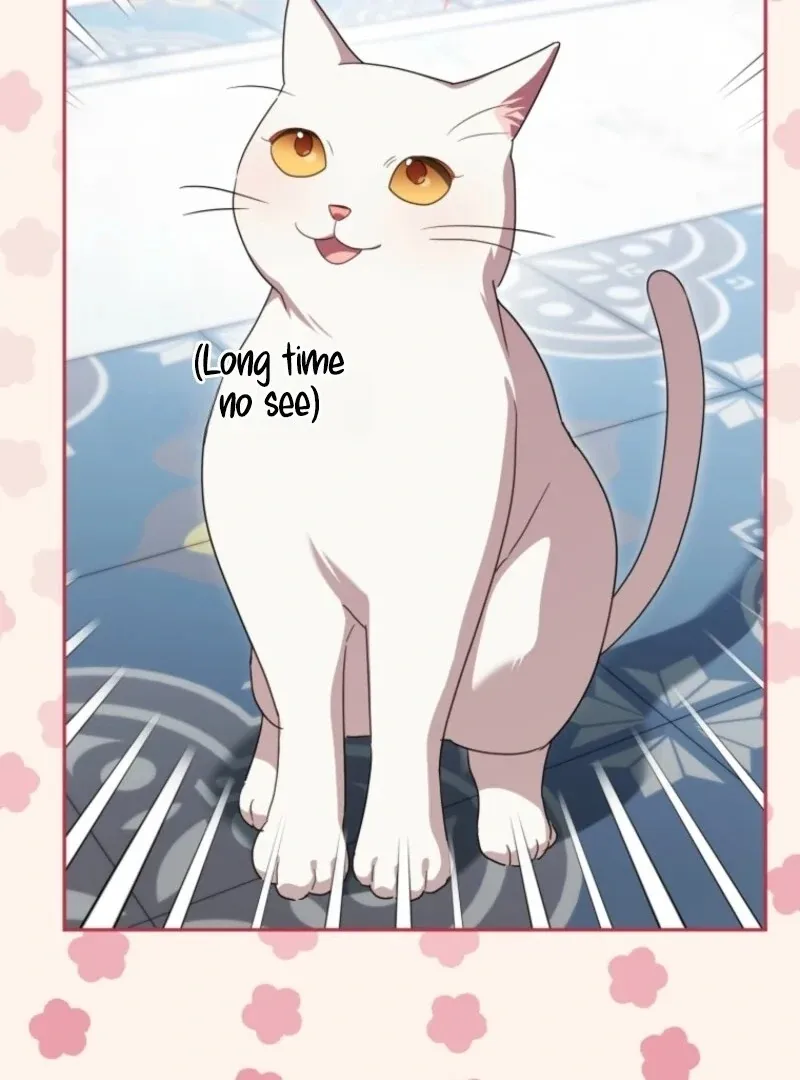 The princess is evil Chapter 178 Online - página 64