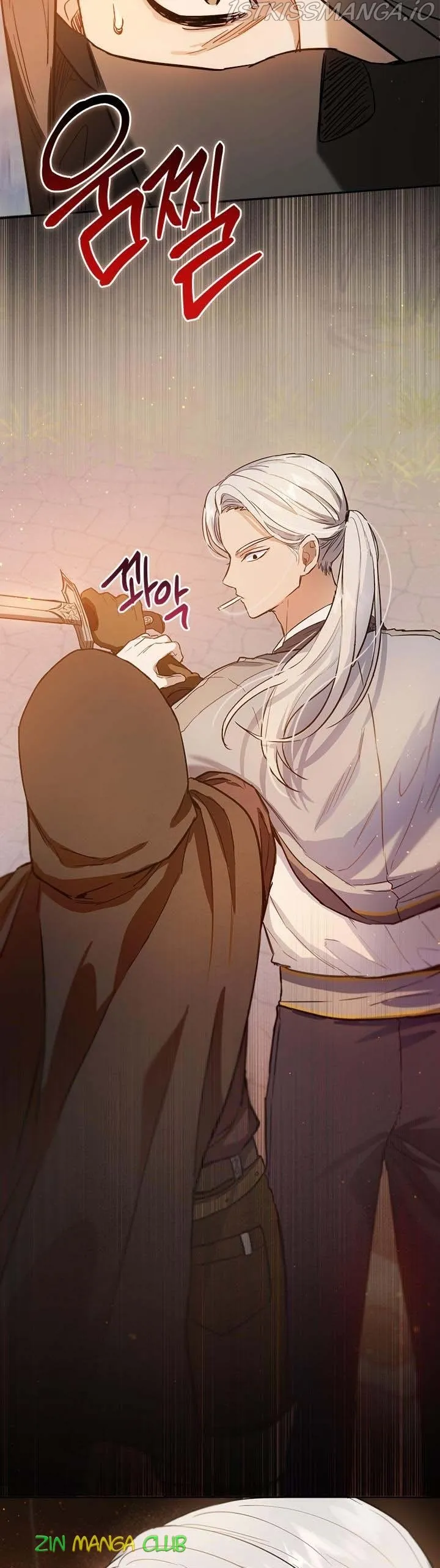 The Princess’s Double Life Chapter 56.5 Online - página 14