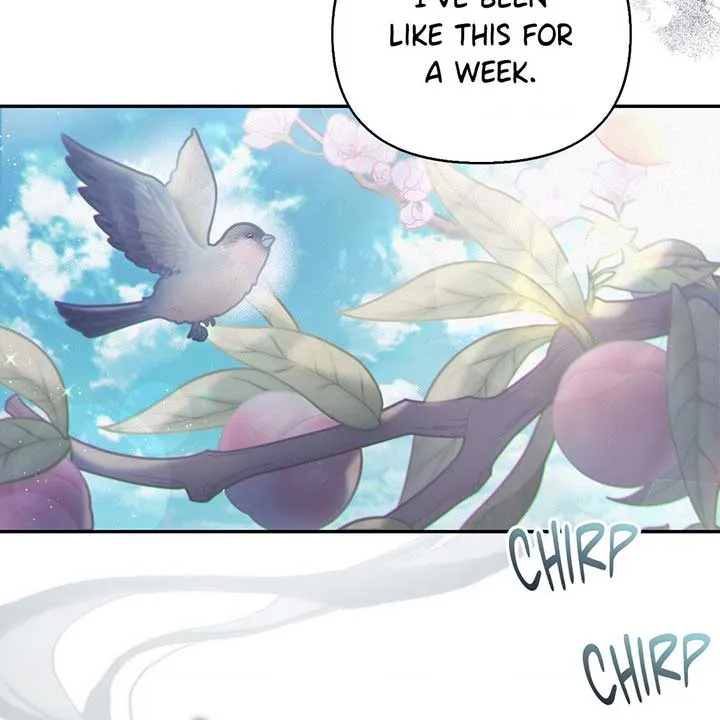 The Queen’s Secret Lessons Chapter 42 Online - página 11