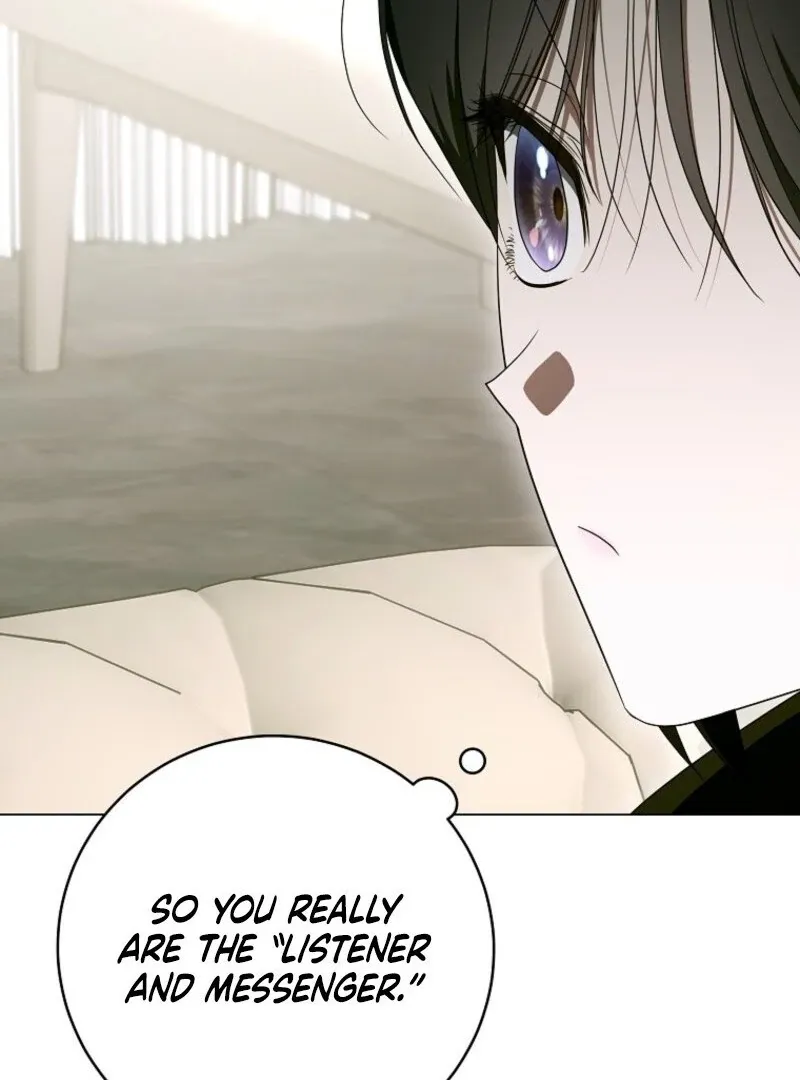 The Rankers Guide to Live an Ordinary Life Chapter 55 Online - página 39