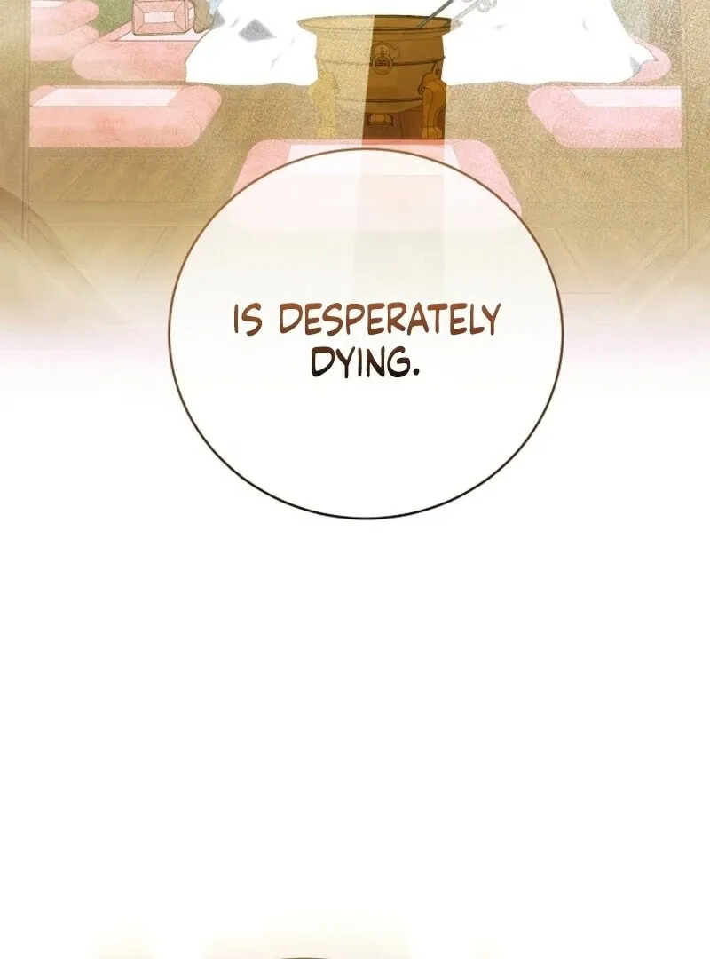 The Rankers Guide to Live an Ordinary Life Chapter 57 Online - página 55