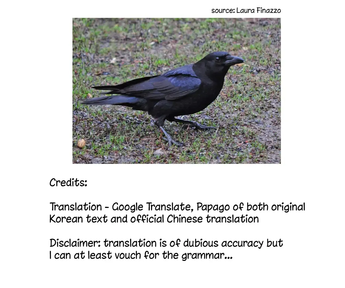 The Raven Duchess Chapter 17 Online - página 28