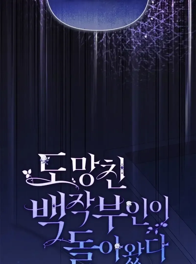 The Runaway Countess Has Returned Chapter 33 Online - página 29