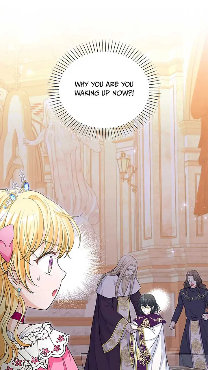 The S-Class Little Princess Is Too Strong Chapter 37 Online - página 47