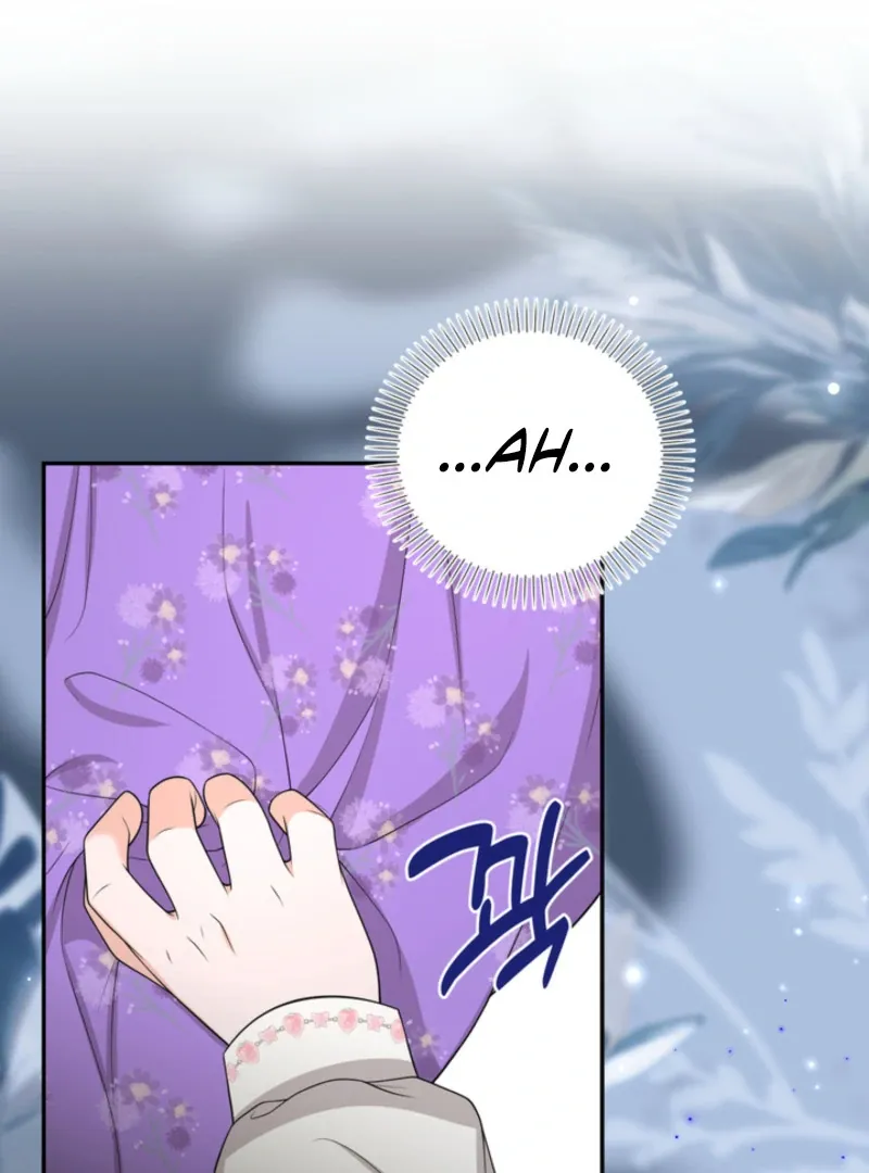 The S-Class Little Princess Is Too Strong Chapter 61 Online - página 67