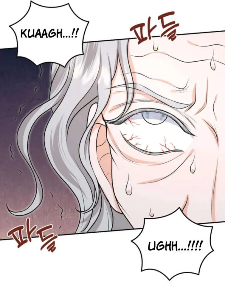 The S-Class Little Princess Is Too Strong Chapter 77 Online - página 28