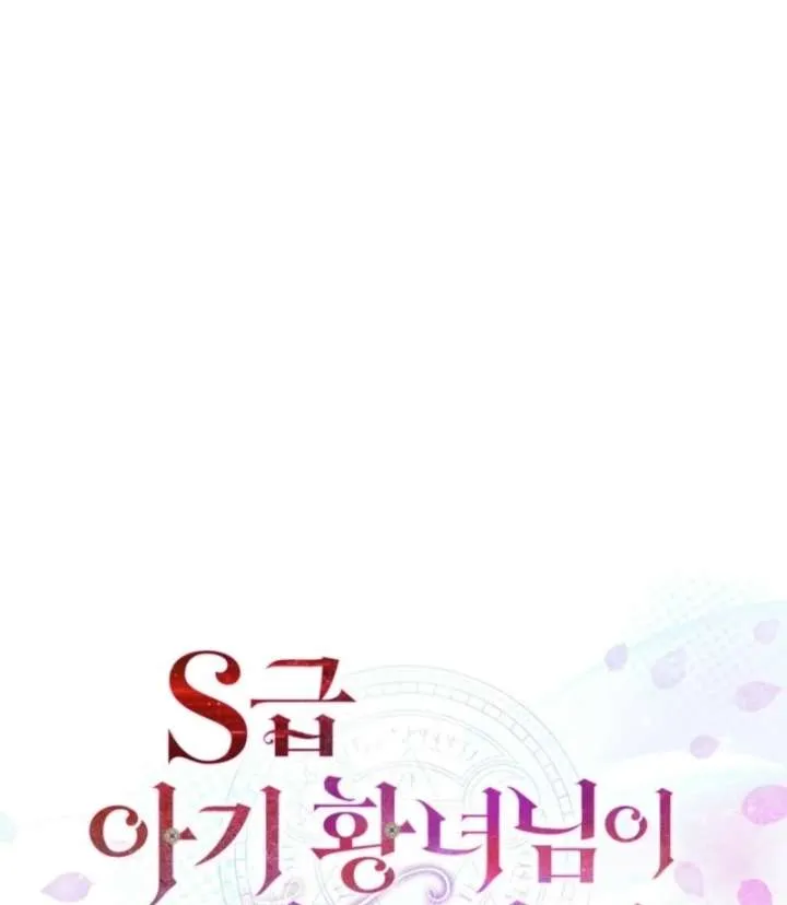 The S-Class Little Princess Is Too Strong Chapter 79 Online - página 15