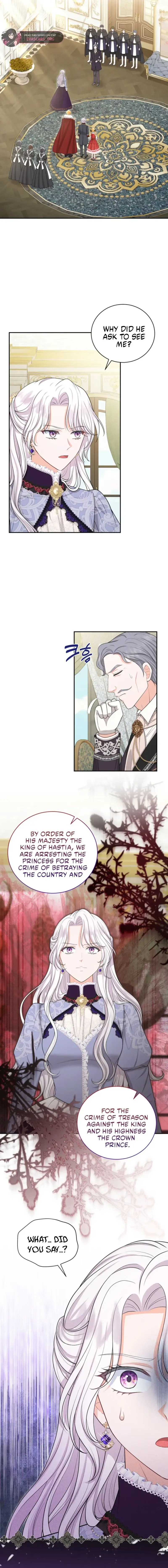 The S-Class Little Princess Is Too Strong Chapter 81 Online - página 5