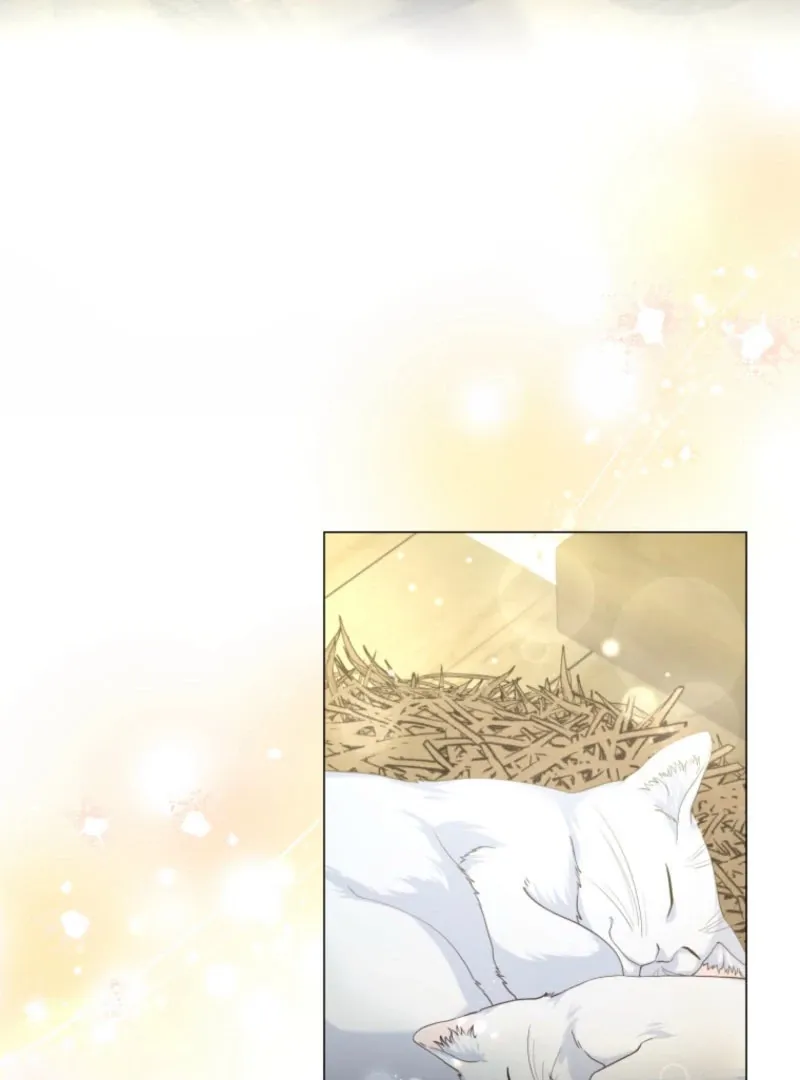 The Saint Who Wishes for Death Makes a Pact with the Cursed Prince Chapter 25 Online - pƔgina 3