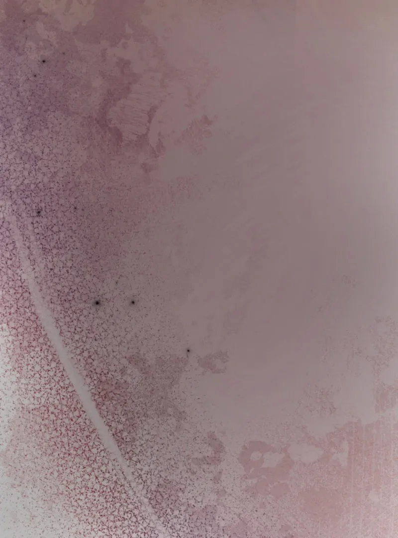 The Saint Who Wishes for Death Makes a Pact with the Cursed Prince Chapter 25 Online - pƔgina 51
