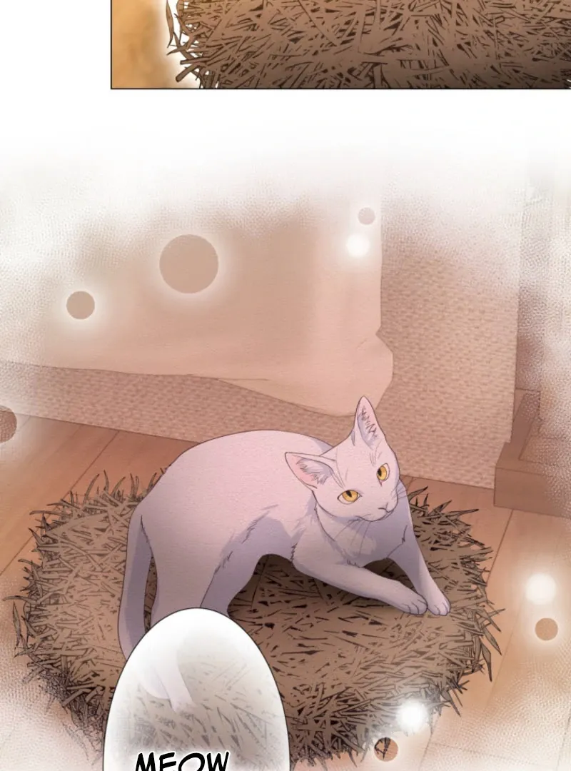 The Saint Who Wishes for Death Makes a Pact with the Cursed Prince Chapter 25 Online - pƔgina 68
