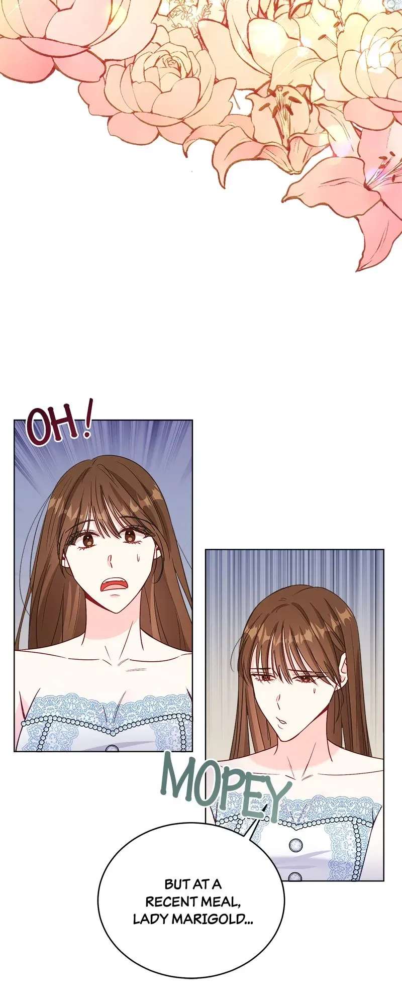 The Second Male Lead is Actually a Girl Chapter 19.5 Online - página 16