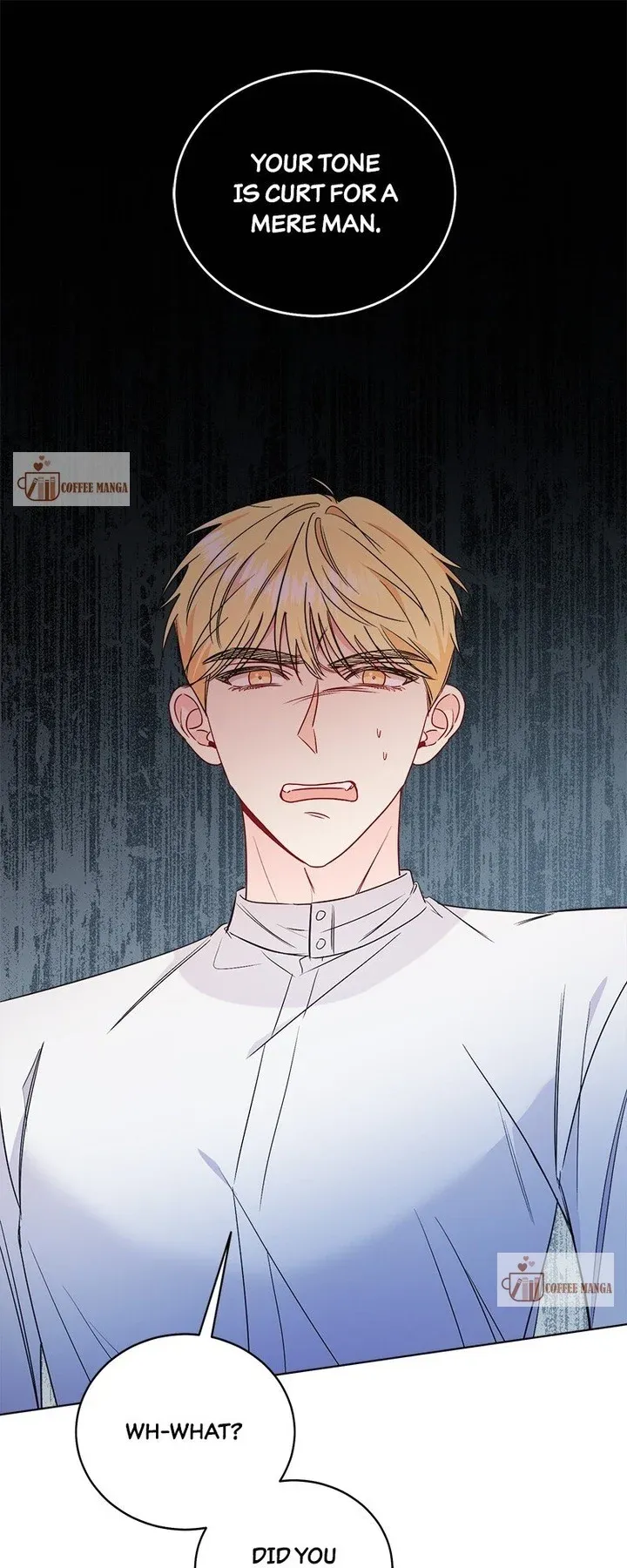 The Second Male Lead is Actually a Girl Chapter 34 Online - página 1