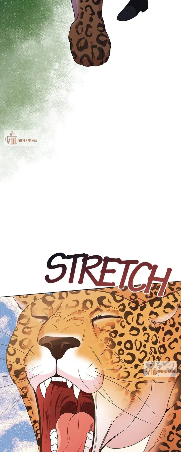 The Second Male Lead is Actually a Girl Chapter 34 Online - página 11