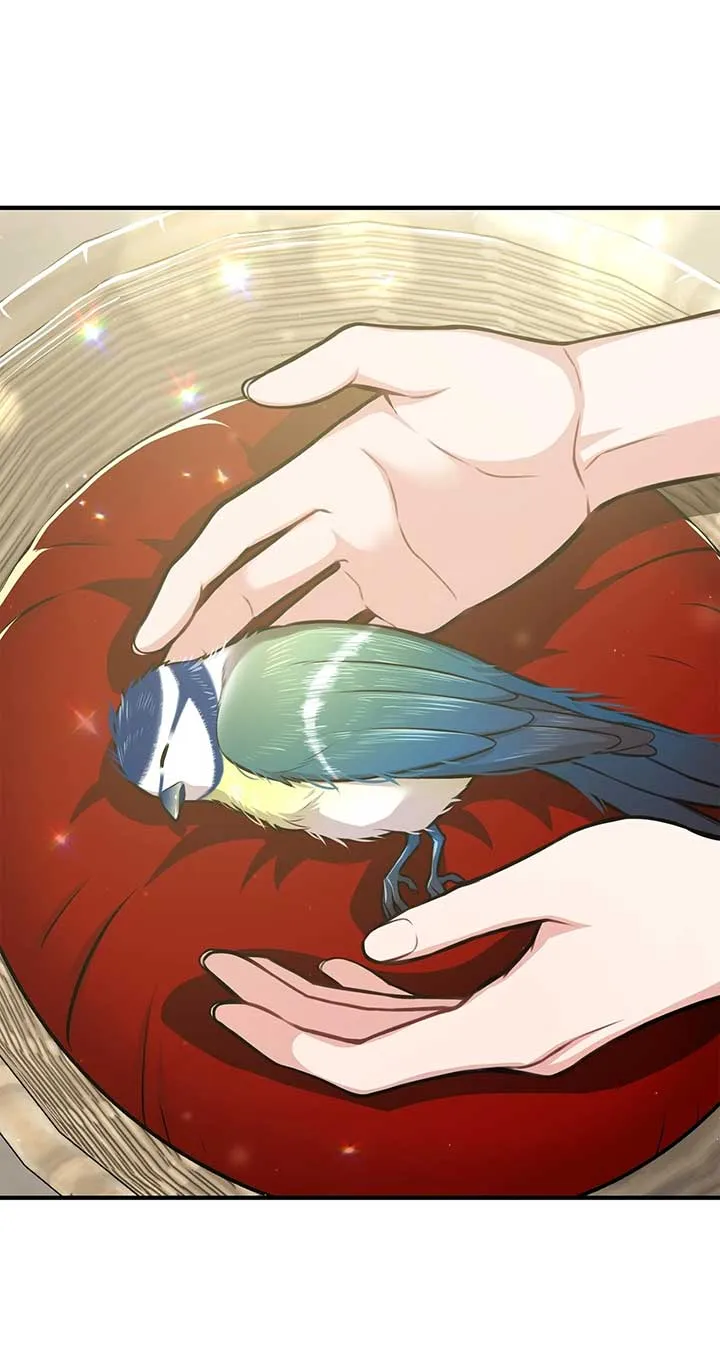 The Secret Bedroom of a Dejected Royal Daughter Chapter 84 Online - página 63