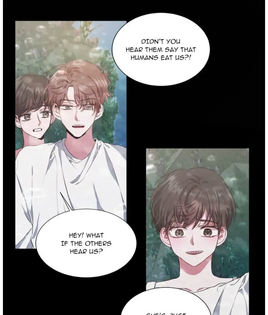 The Spring of the Sea Chapter 33 Online - página 74