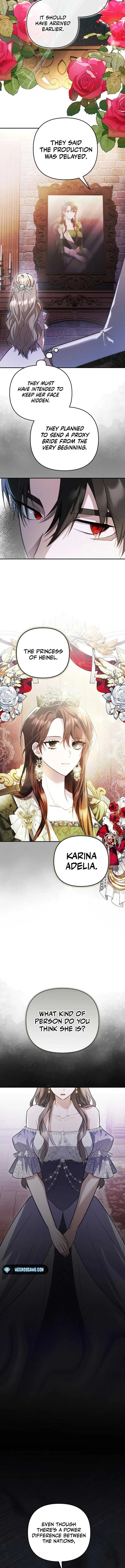 The Substitute Bride Chapter 15 Online - página 9