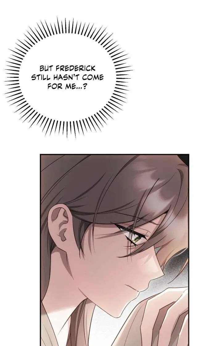 The Substitute Bride Chapter 44 Online - página 27